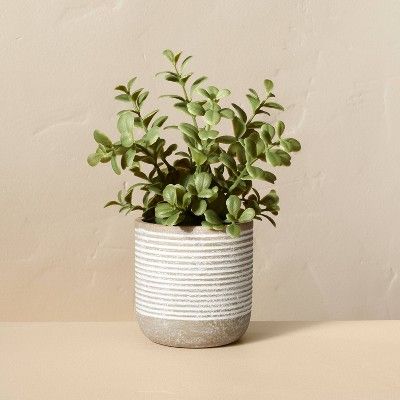 7.5" Mini Faux Jade Potted Plant - Hearth & Hand™ with Magnolia | Target