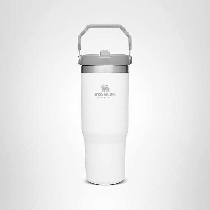 Stanley IceFlow Stainless Steel Tumbler with Straw - Vacuum Insulated Water Bottle for Home, Offi... | Amazon (US)