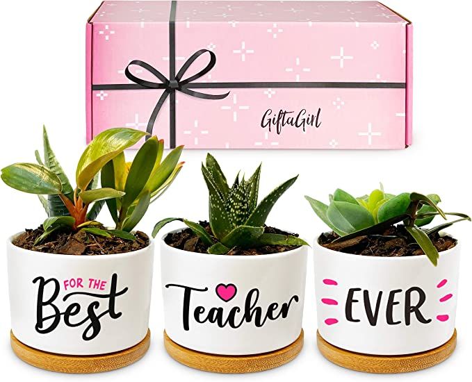 GIFTAGIRL Teacher Gifts for Women- Our Pretty Best Teacher Pots are Perfect Teacher Appreciation ... | Amazon (US)
