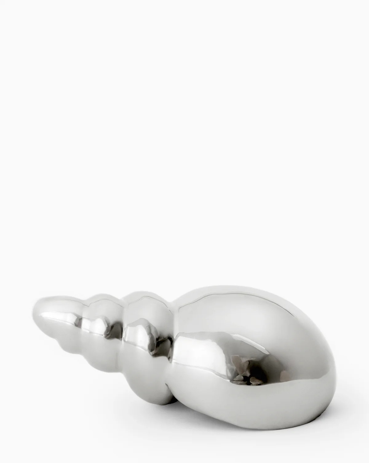 Tulip Shell | McGee & Co. (US)