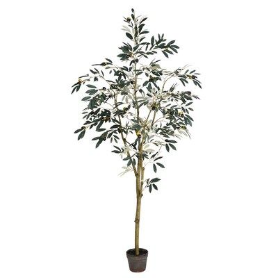 Vickerman 72-in Green Indoor Artificial Olive Trees Lowes.com | Lowe's