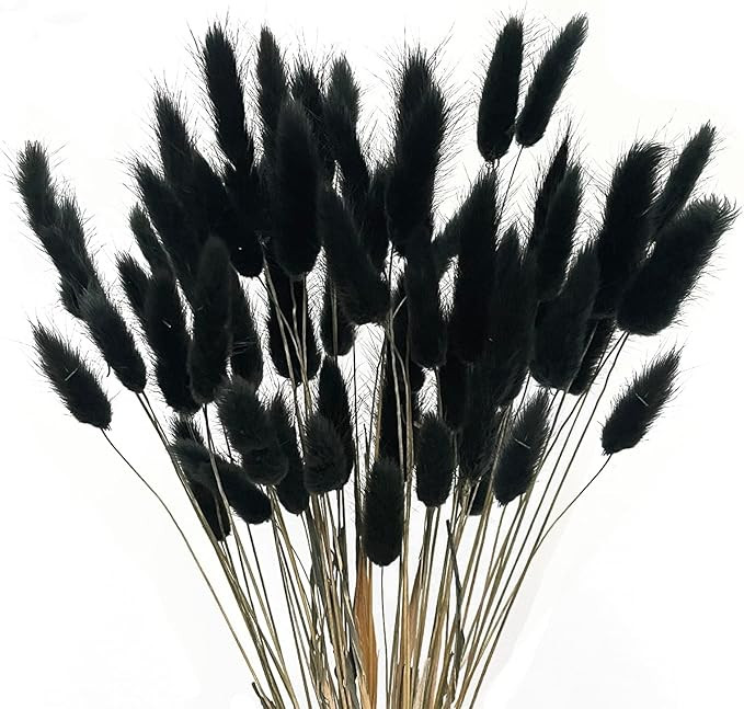 XHXSTORE 60pcs Dried Bunny Tails Flowers Black Pampas Grass Dried Fall Flowers Natural Lagurus Ov... | Amazon (US)