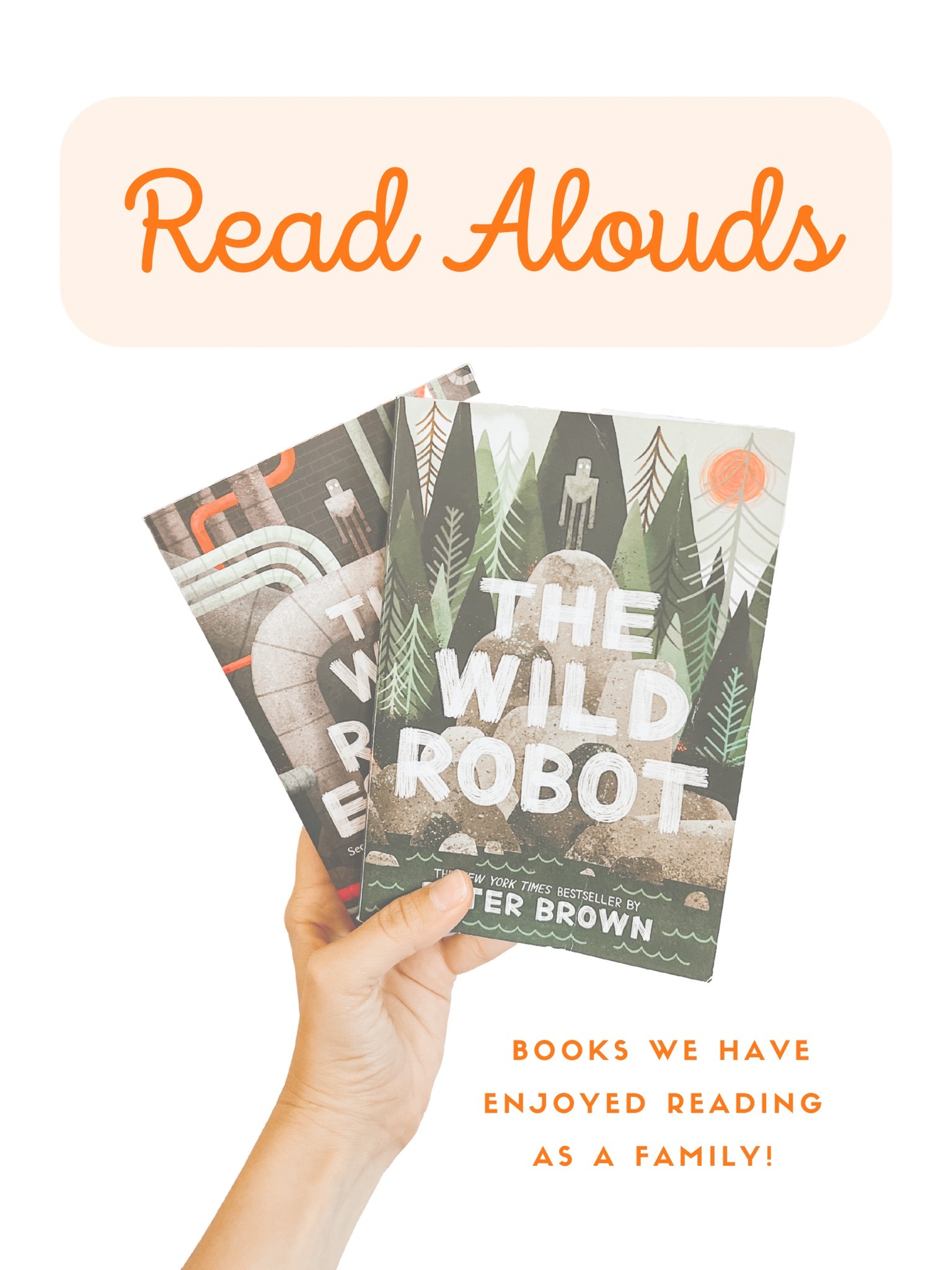 These are some books we have loved as a family!  Ages 6-9 but we have included kiddos as young as 4 in many of these!

#LTKkids #LTKhome #LTKfamily