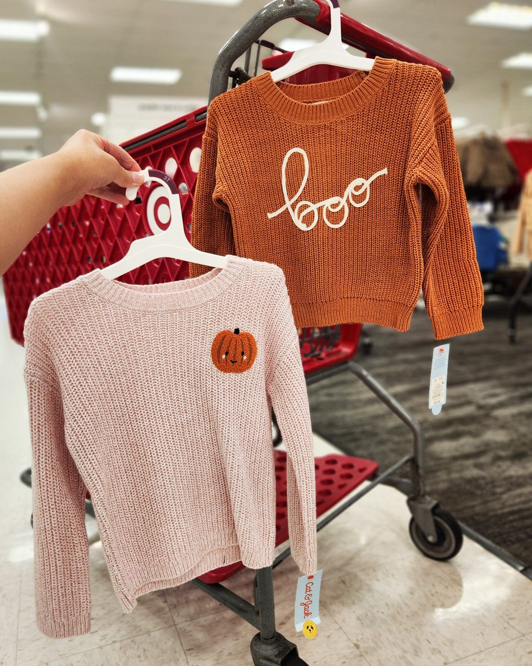 Cat & Jack Toddler Fall Sweaters
#falldeals #targetfinds 

 #LTKSeasonal #LTKKids