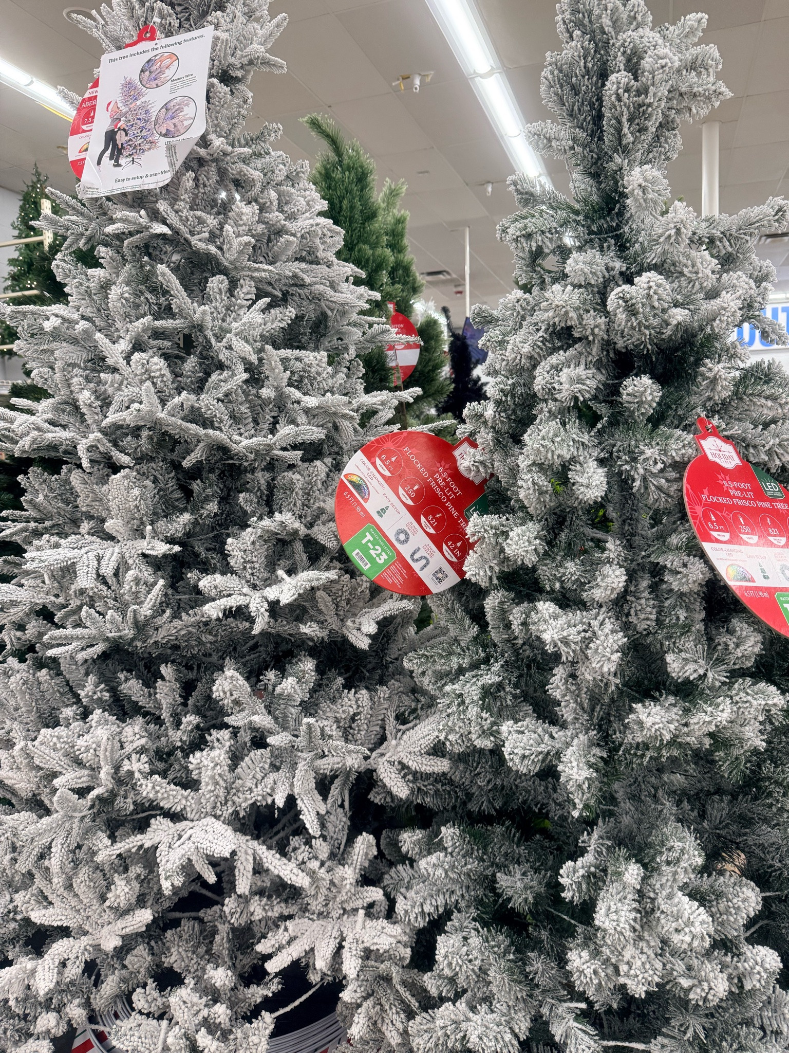 CHRISTMAS TREES ARE HEREEEEE! 🎄🎅🏽❤️

CHRISTMAS STARTS NOW! 😂😍 The Christmas trees are OUT and there are SO many cute ones! I’m already ready to decorate and I want EVERY SINGLE ONE! 🎄✨

🛍️ I LINKED ALL MY FAVORITE WALMART CHRISTMAS TREES ON MY LTK! GO SHOP MY PICKS!

#ChristmasTrees #ChristmasDecor #LTKFinds
