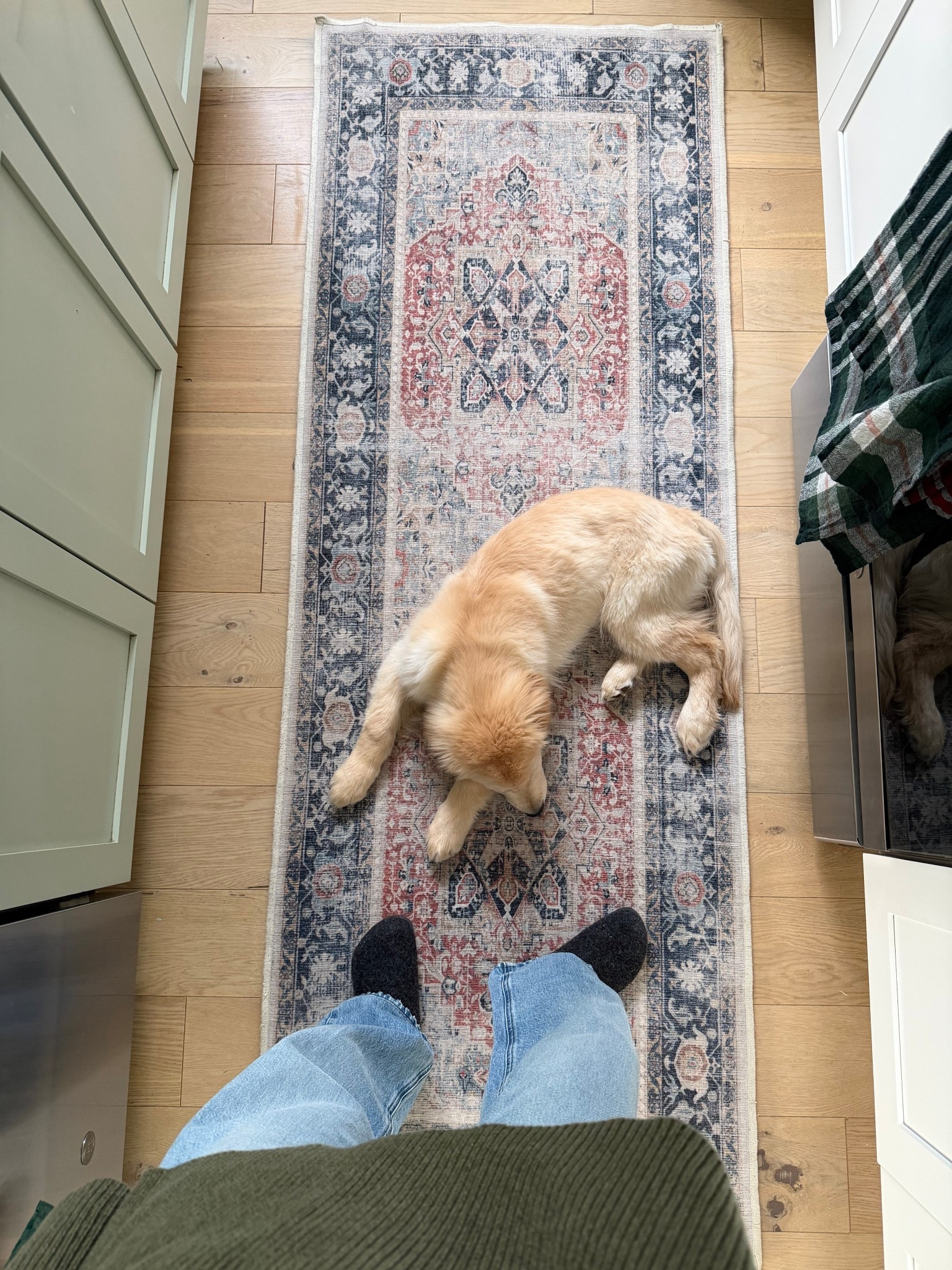 [12/15/25] machine washable rug. We’ve had this one for about4 years now and love it!! might be due for a new one, but it’s been amazing and so great with Laird, esp when we first brought him home. Had an accident on it and immediately went in the wash :) 

#LTKGiftGuide #LTKdayinmylife #LTKHoliday
