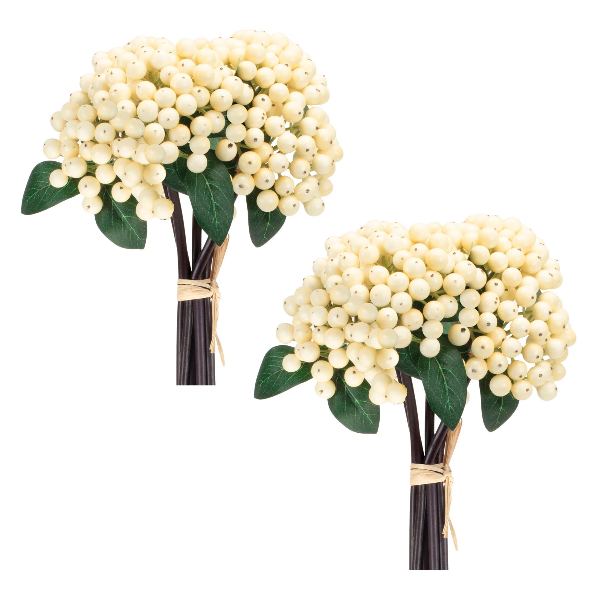 Berry Bundle (Set of 2) | Wayfair North America