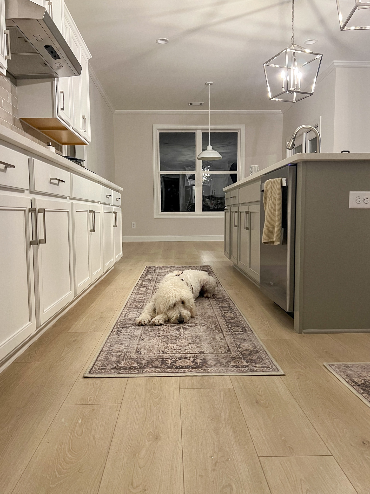 Our favorite washable rug must haves for homes with dogs and kids! ✨🤍 #rug #runner #rugrunner #kitchenrunner 

#LTKKids #LTKHome #LTKFamily