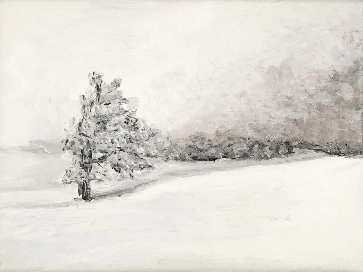 Lone Tree in Winter | Collection Prints
