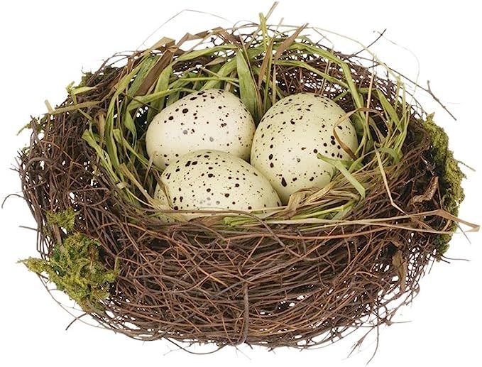 Sullivans 4" Replica Bird's Nest with Yellow Spotted Eggs | Amazon (US)