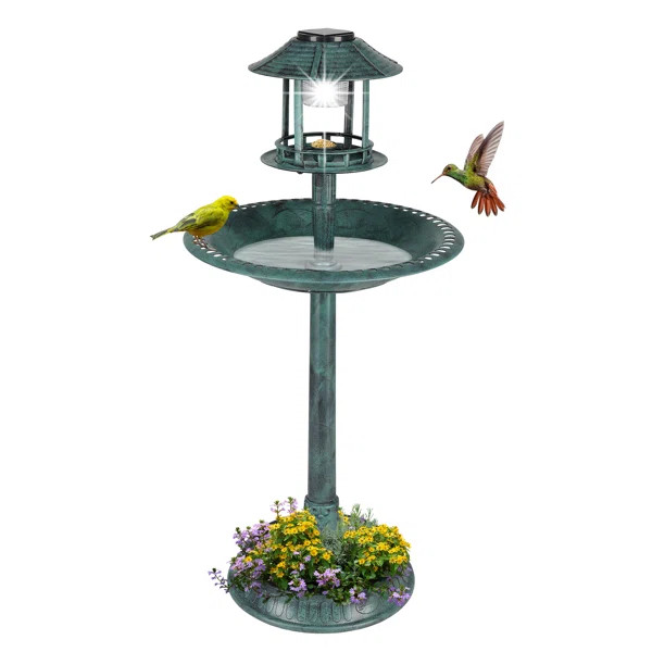 Hiles Polypropylene Birdbath with Solar Light | Wayfair North America