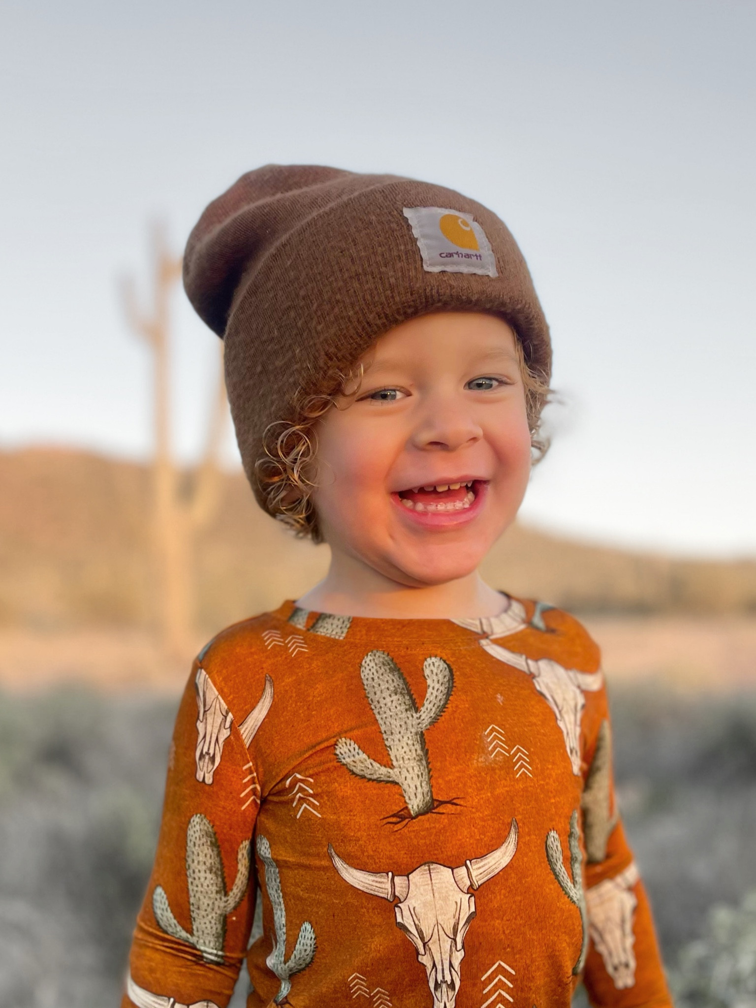 adult carhartt beanie