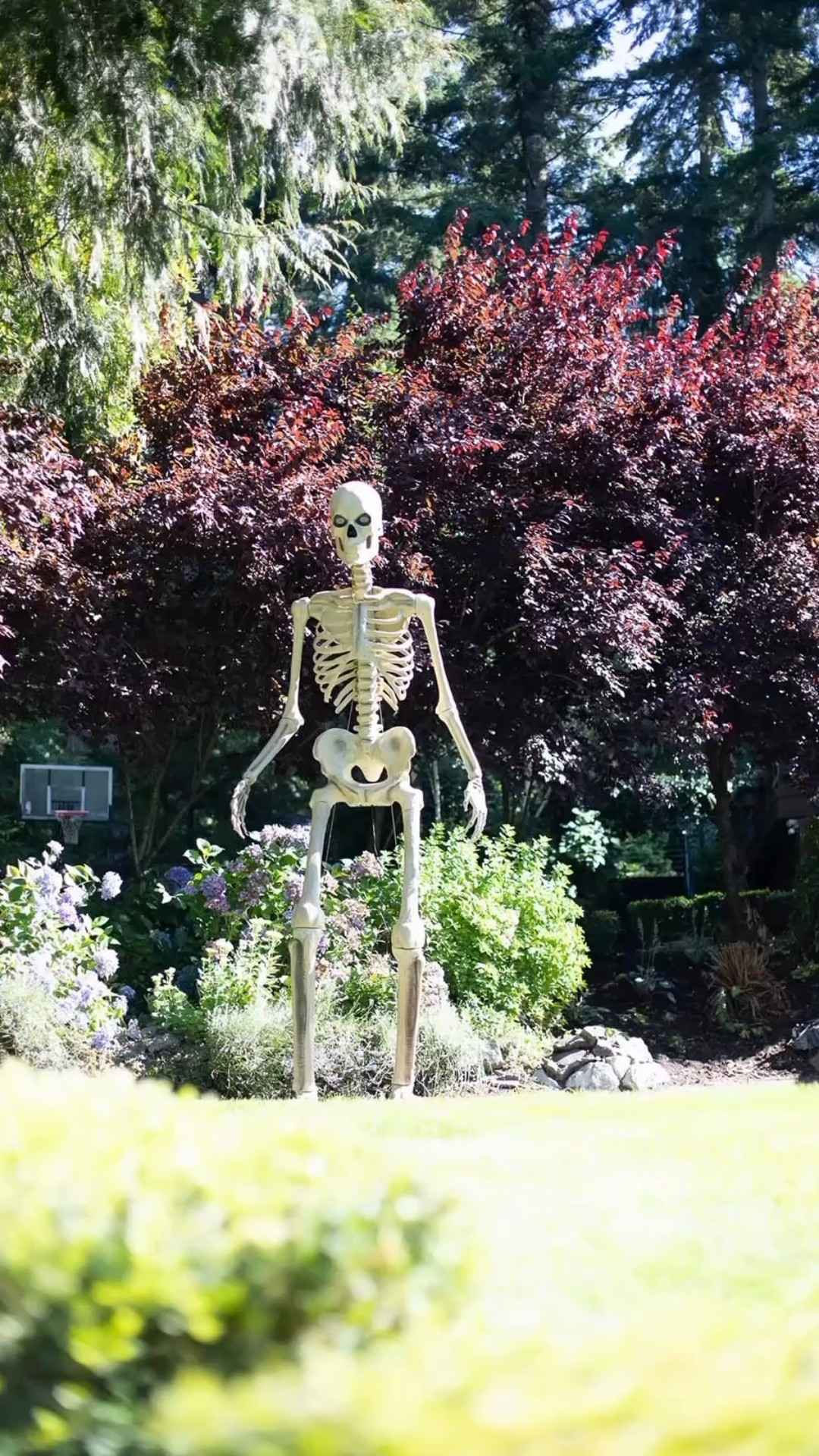 HE’S BACK! 👻 The iconic 12-ft Skelly is finally back in stock — and if you’ve tried to grab him in past years, you know how fast he sells out. I missed out 4 years in a row, but not this time! If he’s been on your Halloween wishlist, RUN. 🦴

🔗 Linking him here before he disappears again!

#LTKhome #LTKseasonal #LTKfinds #halloween2025 #skellyseason #LTKbackinstock #12ftskeleton #LTKdecor #homeaccentsholiday #halloweendecor

#LTKSeasonal #LTKHome