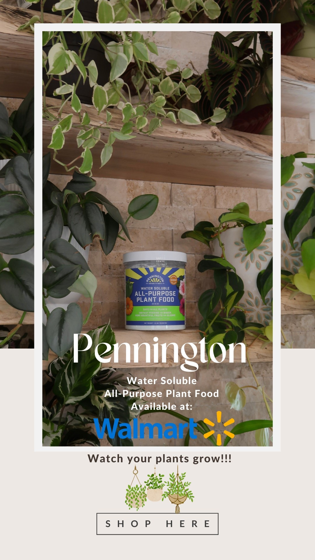 Pennington plant food 








Fertilizer 

#LTKFindsUnder100