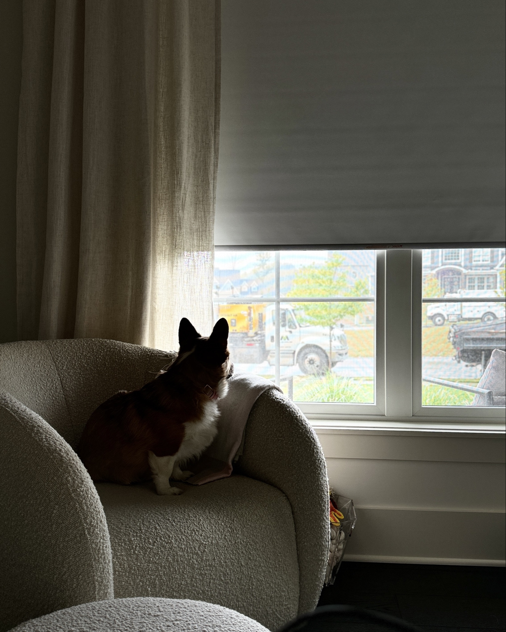 Miss Kennedy is trying out our new Arhaus chair that swivels! #Luxury #InteriorDesign #Chair #Furniture #boucle #bouclechair #bouclejacket #Corgi

#LTKFallSale #LTKHome #LTKStyleTip
