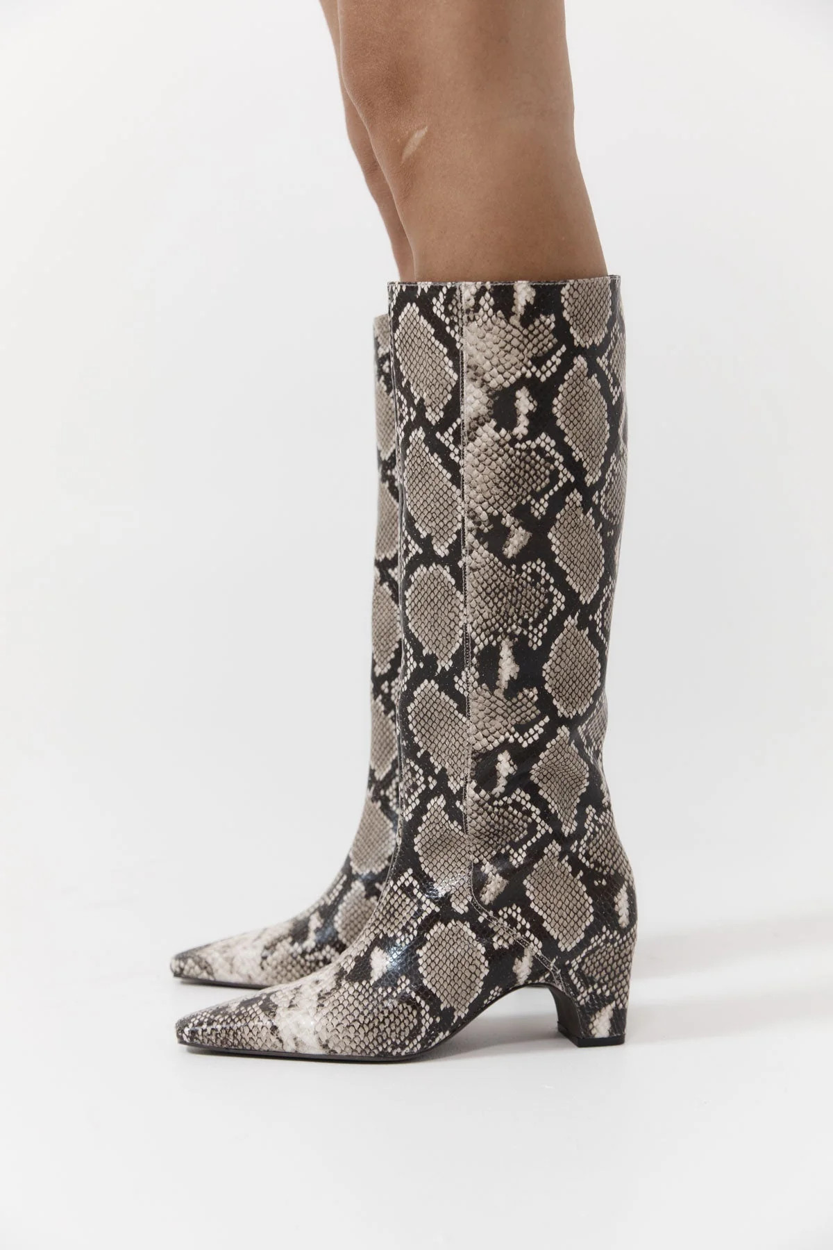 High Boot - Python | St. Agni (US, UK, EU)