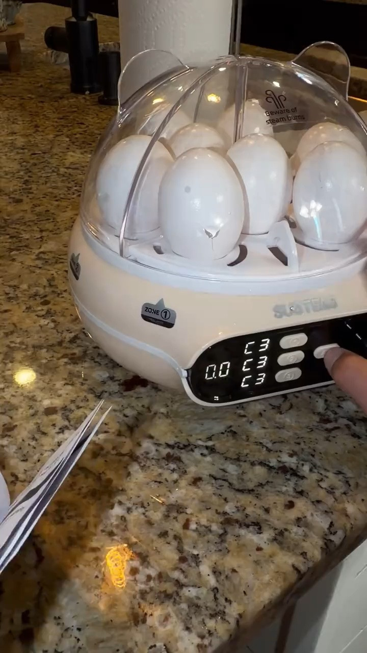 Amazing invention

#LTKfoodie #LTKdayinmylife #LTKmorningroutine