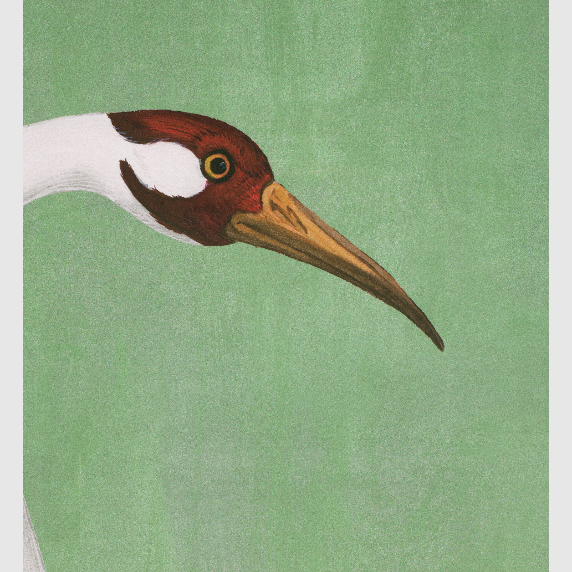 Gucci Heron print wallpaper | Gucci (US)