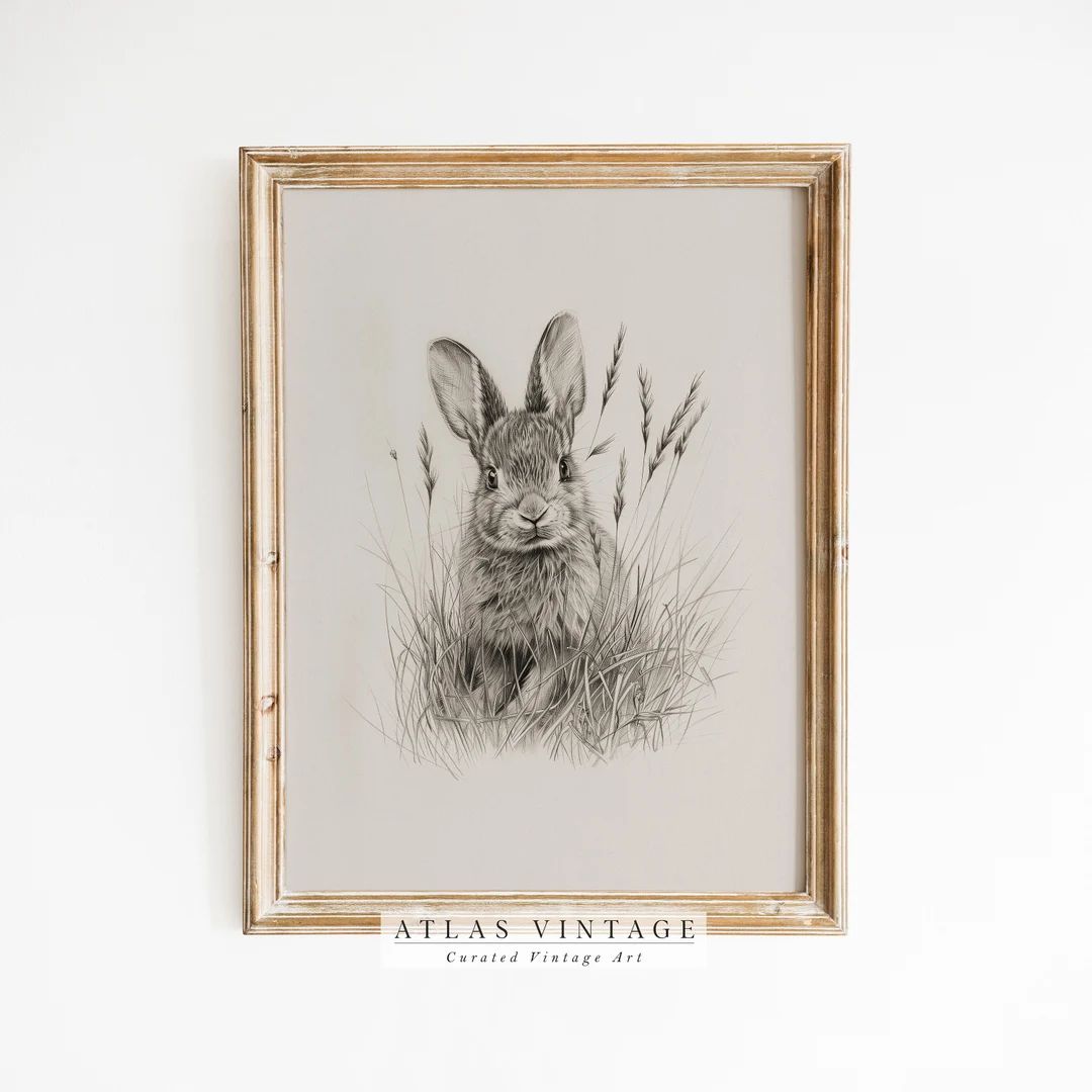 Vintage Easter Bunny Print, Country Farmhouse Printable Wall Art, Antique Rabbit Sketch Drawing, ... | Etsy (US)