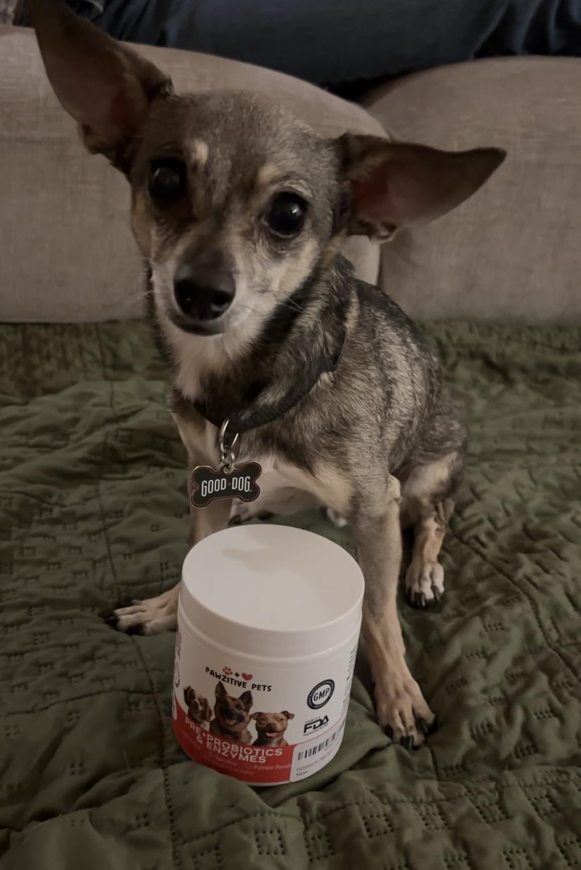 Chews for Dogs, Omega 3 Fish Oil - Dog Coat & Skin Supplement - USA Product - Itch Relief, Hot Sp... | Amazon (US)