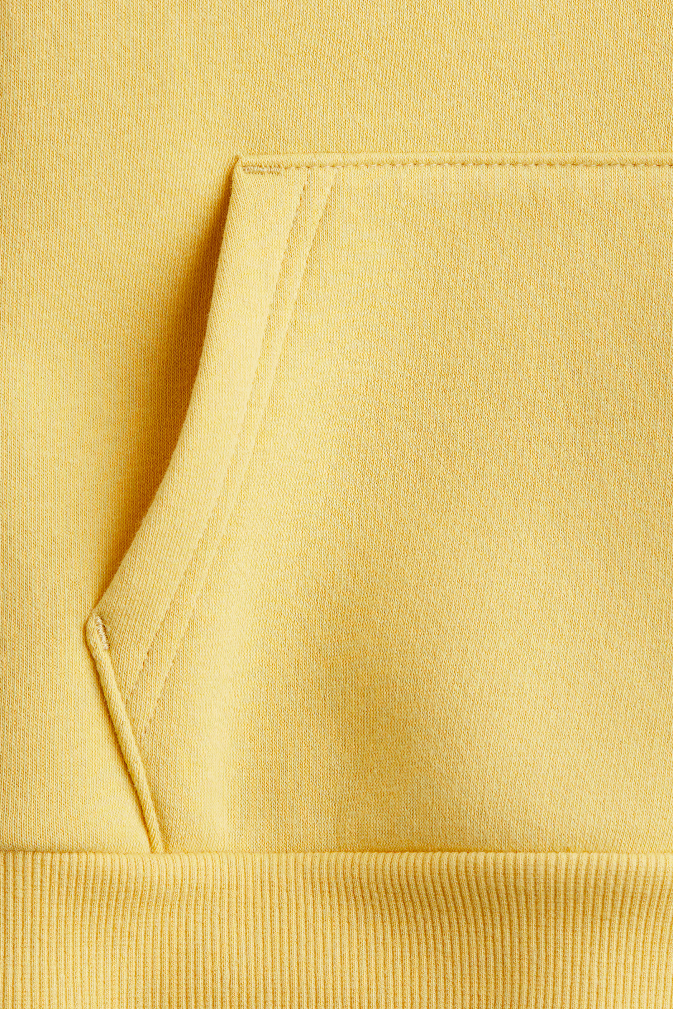 Brushed-Inside Hoodie | H&M (US + CA)