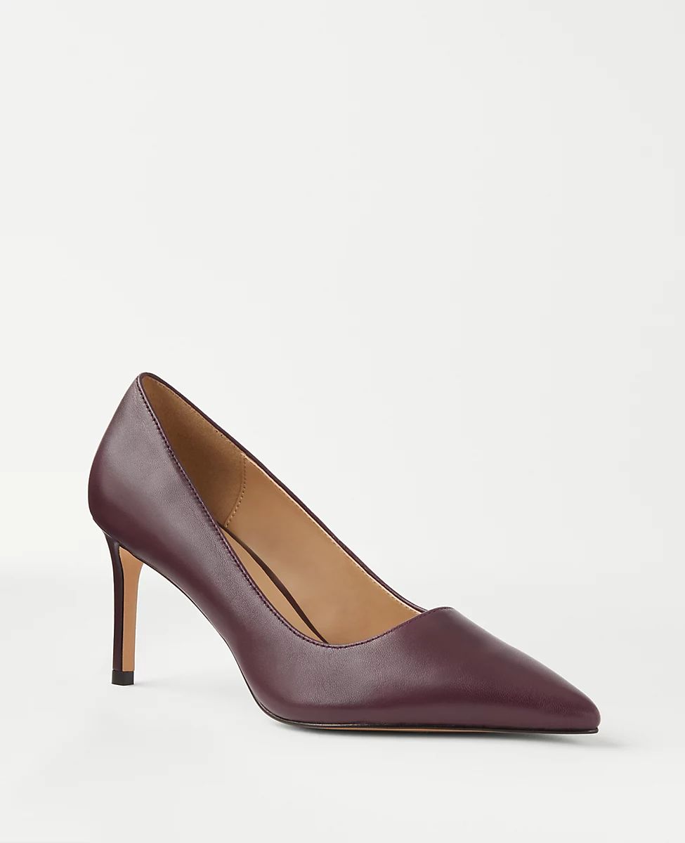 Leather Pointy Toe Straight Heel Pumps | Ann Taylor (US)