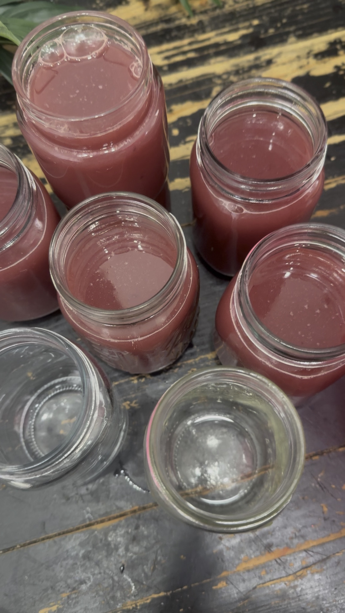 If you’re going to buy ONE thing for your health this year, make it the best juicer on the market 🍍✨

It extracts more juice.
It wastes less produce.
It makes weekly batch juicing simple.
And it keeps you accountable.

Your health is the real luxury. Start with the tool that makes it sustainable.

Shop the juicer that changed my routine.

#JuiceDaily #LifeChangingJuicer #HealthFirst #ColdPressedLife #WellnessRoutine #AtlantaCreator #ShoppingWithPriiincesss

#LTKActive #LTKfoodie #LTKHome