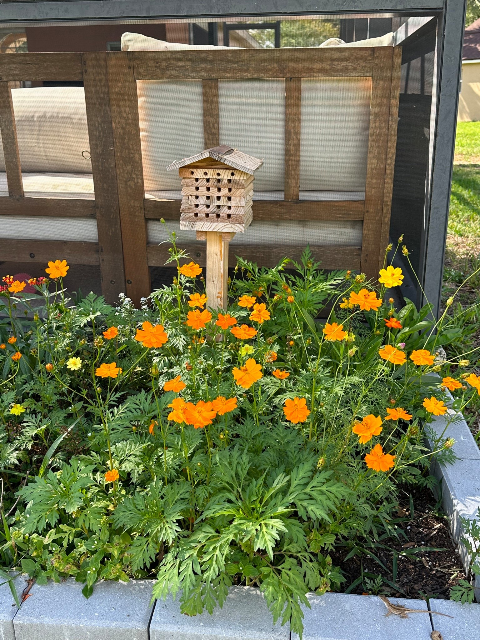 Bee home 

#LTKFindsUnder50 #LTKSeasonal #LTKFindsUnder100