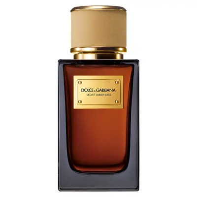 Dolce&Gabbana Velvet Amber Sage Eau de Parfum at Nordstrom | Nordstrom