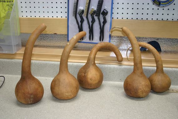 Short Handle Dipper Gourds Group of 5 - Etsy | Etsy (US)
