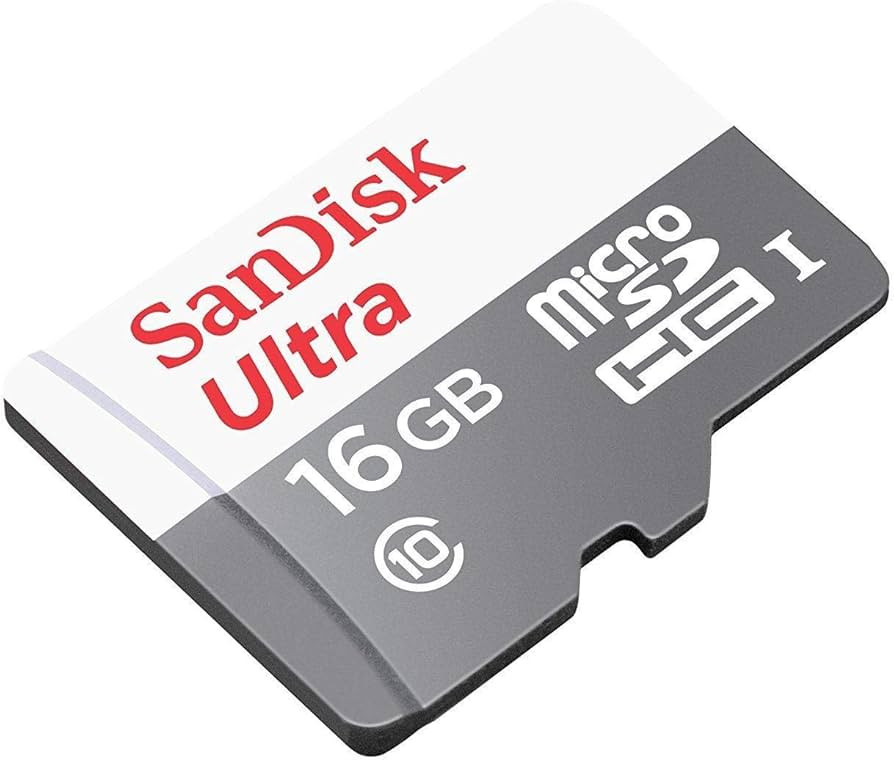 SanDisk Ultra SDSQUNS-016G-GN3MN 16GB 80MB/s UHS-I Class 10 microSDHC Card | Amazon (US)