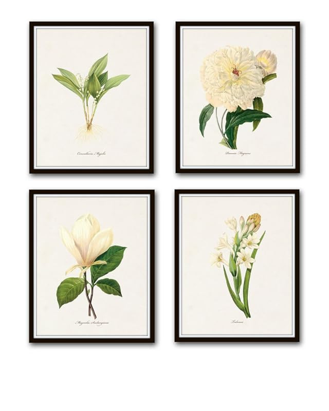 Redoute White Botanical Print Set No.1 - Botanical Prints, Wall Art Prints, Vintage Wall Art, Vin... | Amazon (US)