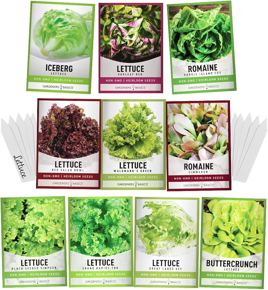 Gardeners Basics, Salad Greens Lettuce Seeds Heirloom Vegetable Seed 23,000 Seeds for Planting In... | Amazon (US)
