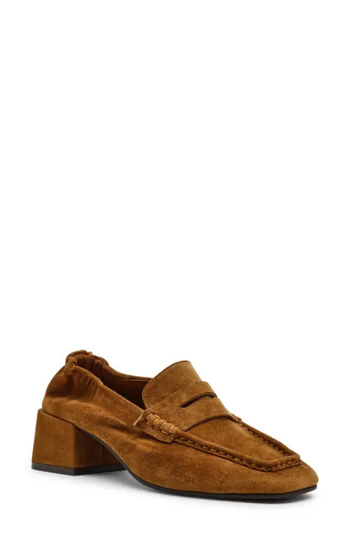 Steve Madden Emorry Penny Loafer in Chestnut Suede at Nordstrom, Size 5.5 | Nordstrom
