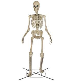 12 FT Skelly | The Home Depot