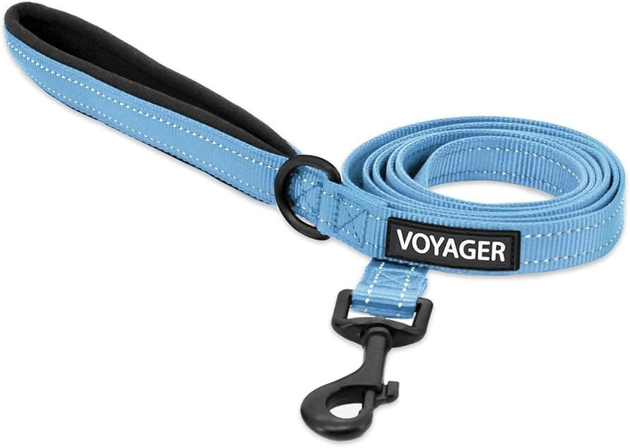 Voyager Reflective Dog Leash with Neoprene Handle, 5ft Long, Supports Small, Medium, and Large Br... | Amazon (US)