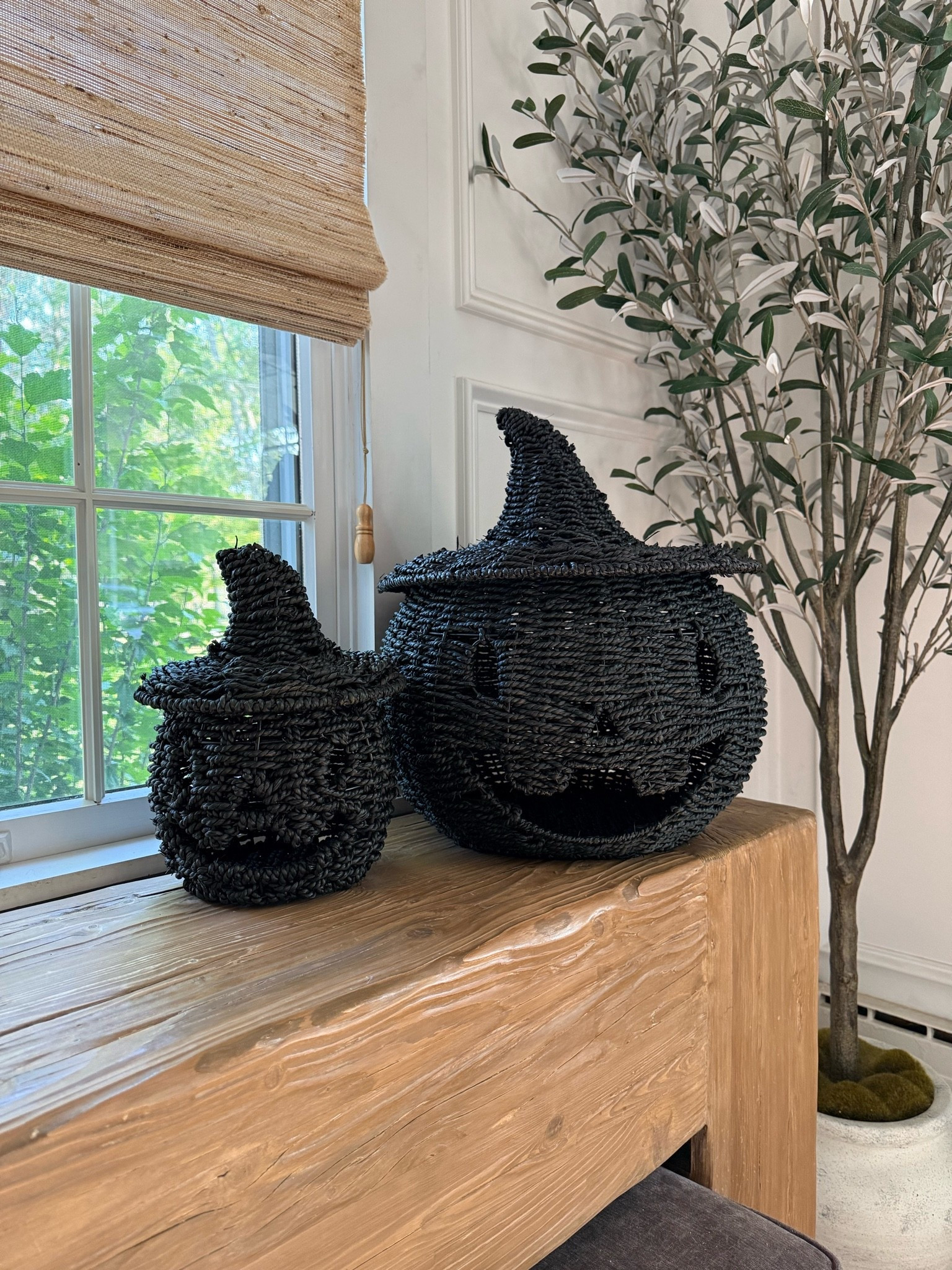 They’re back!! 🖤🖤 
These black seagrass grass jack-o-lanterns sold out before summer was over last year. I was so disappointed they weren’t restocked and had to grab them early for this fall. Don’t sit on these. It’s never too early to shop your favorite fall decor. 

#halloweendecor #falldecor #pumpkindecor

#LTKHome #LTKSaleAlert #LTKSeasonal