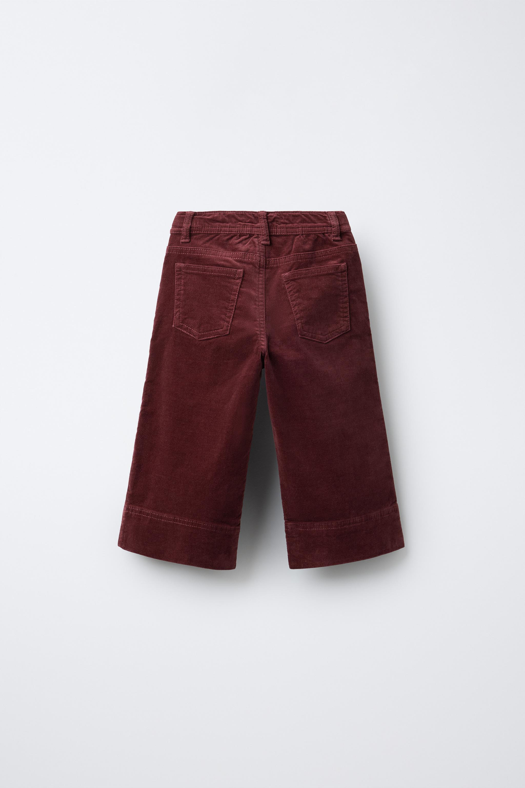 MARINE VELVET PANTS | Zara US