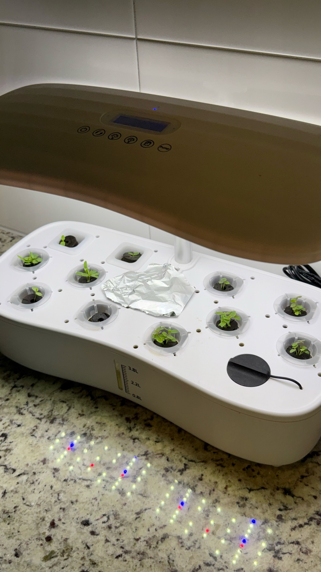 Love my hydroponic system 🪴
seeds grow SO FAST in this! This is only a weeks worth of growth!

I have linked it down below!

#LTKvlog #LTKdayinmylife #LTKHome