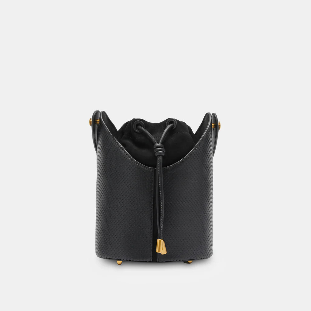 Harriet Bucket Bag | DolceVita.com