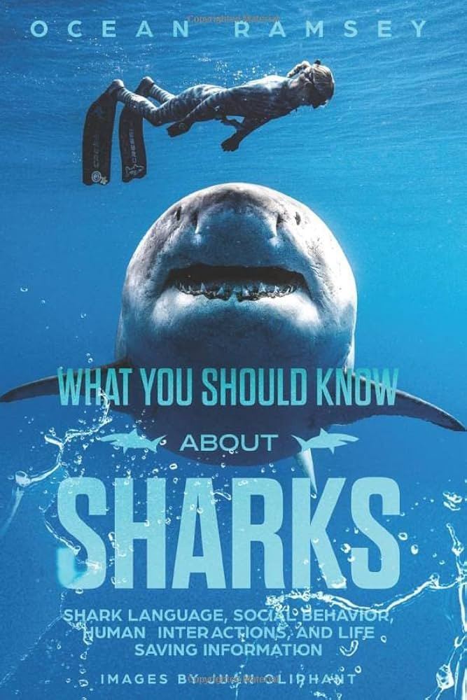 Full Color Version WHAT YOU SHOULD KNOW ABOUT SHARKS: Shark Language, Social Behavior, Human Inte... | Amazon (US)