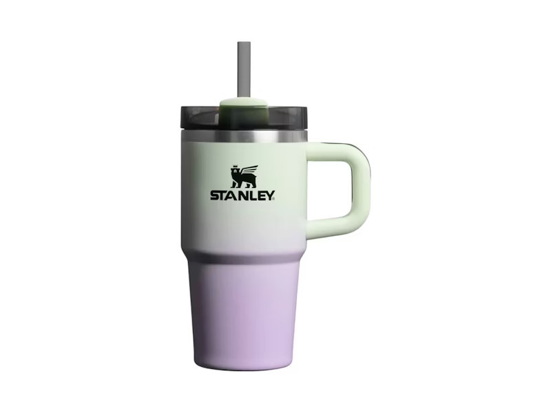 Stanley Halloween Flowstate Quencher 20oz Tumbler in Hypnotic Green | StockX
