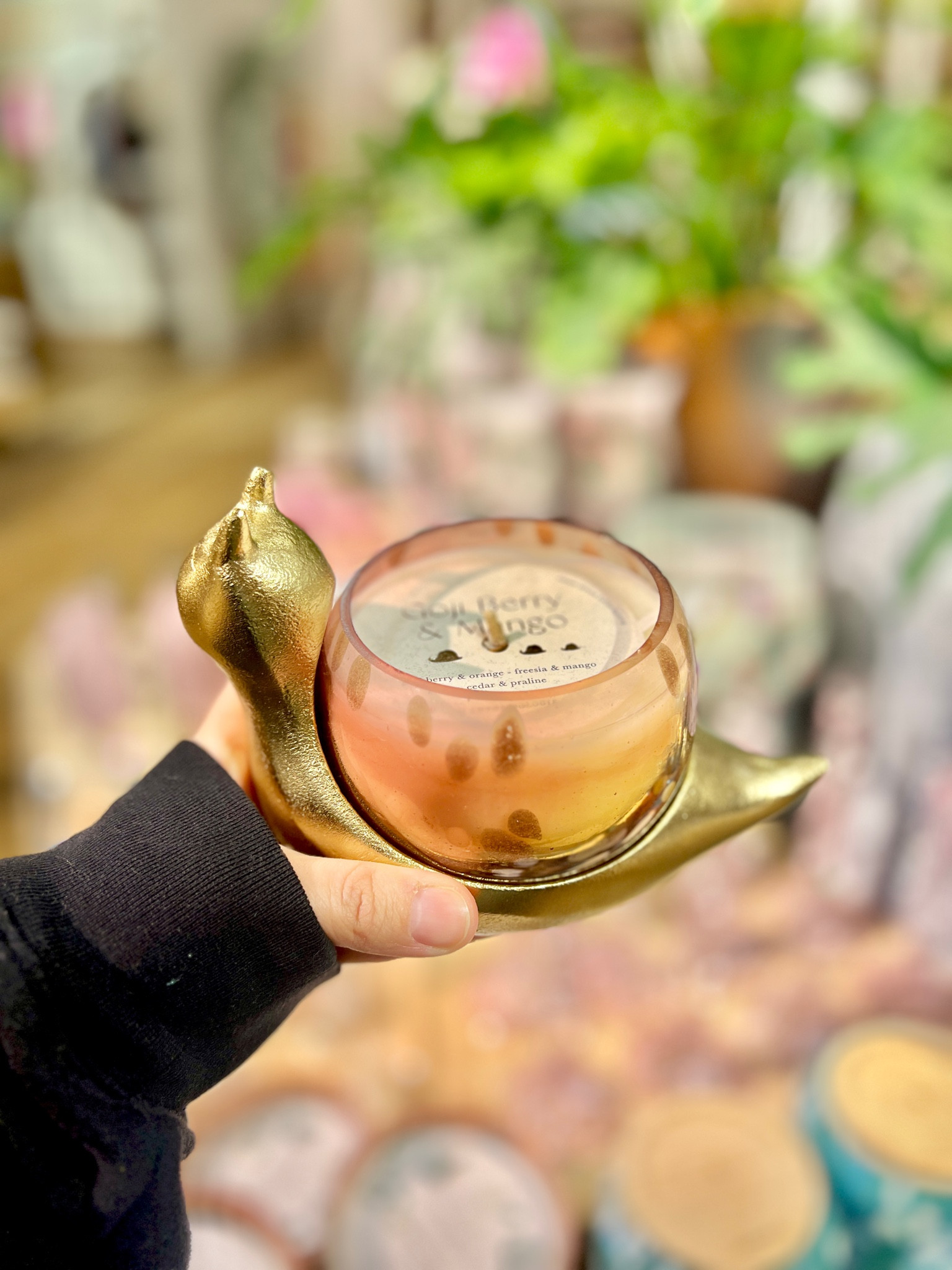 Sculptural Snail Fruity Goji Berry & Mango Glass Candle at a Anthropologie 

#LTKGiftGuide #LTKSaleAlert #LTKHome