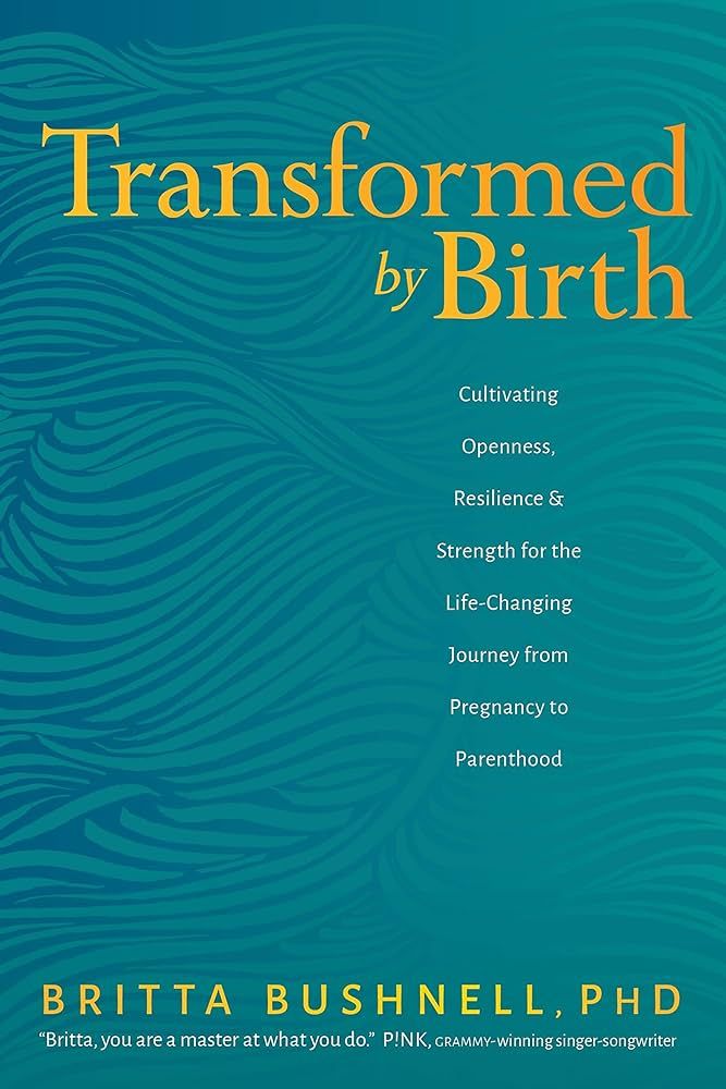 Transformed by Birth: Cultivating Openness, Resilience, and Strength for the Life-Changing Journe... | Amazon (US)