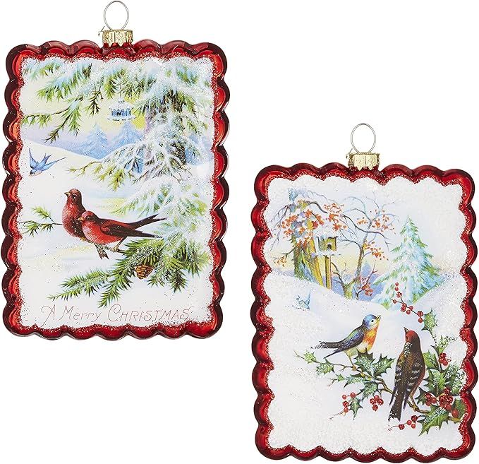 Set of 2 Raz 5.25" Bird Scalloped Edge Glass Christmas Ornament 4124552 | Amazon (US)