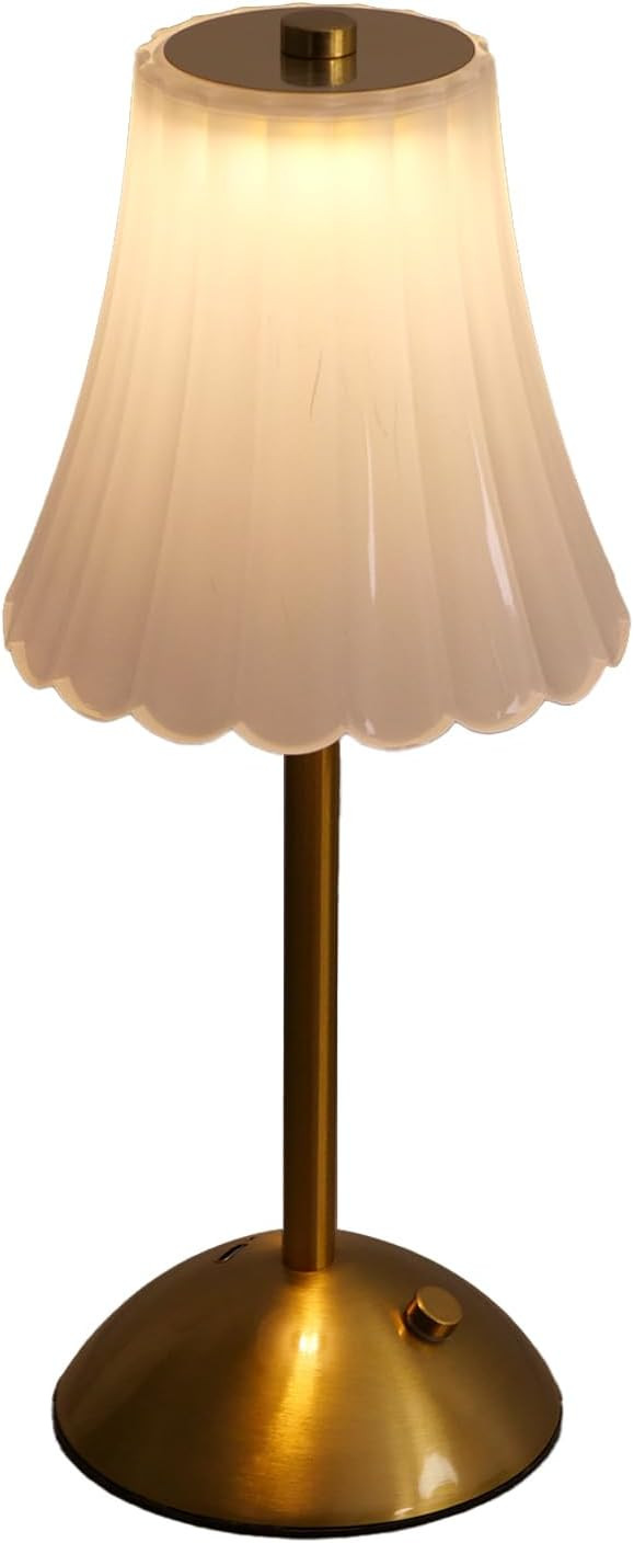 Cordless Table Lamps for Home,Table,Dining Room, Gold Rechargeable Lamps, USB Charge 12'' Tall LE... | Amazon (US)
