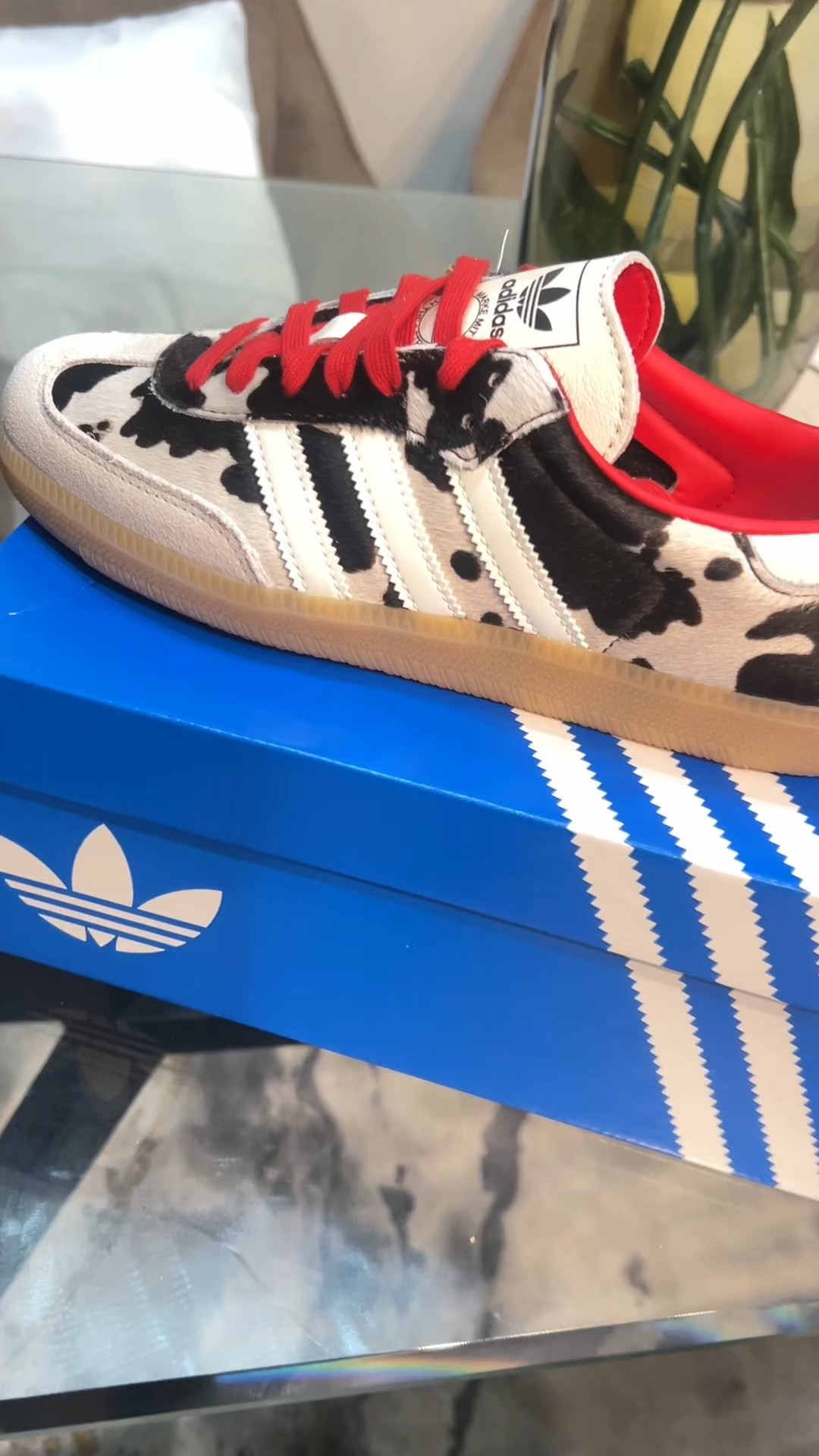 Nothing like a Samba 🥰

#LTKU