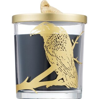Joyward Black Raven Candle, Moonlight Sugar Spell, 9.5 oz | CVS Health