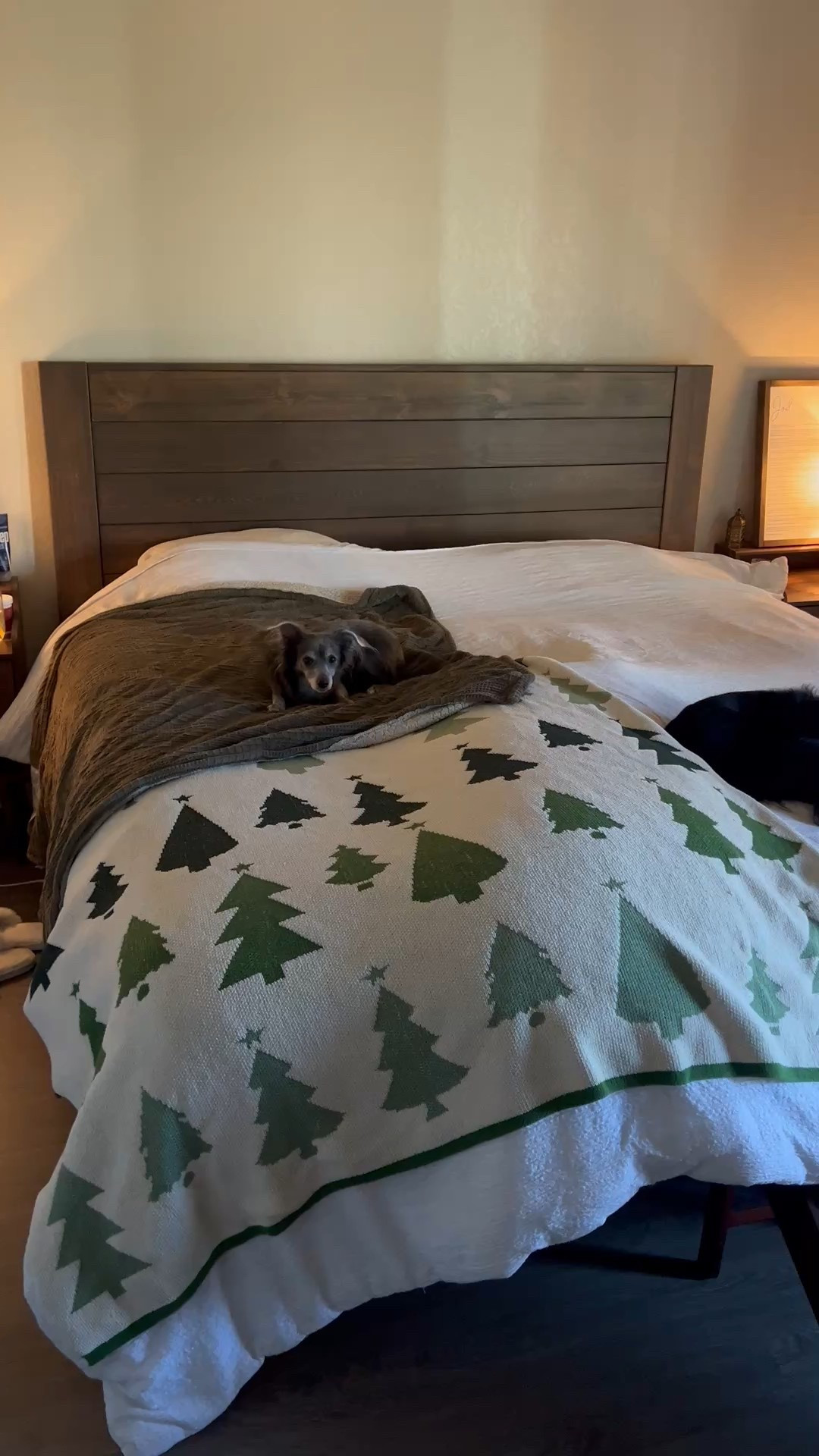 Our Farmhouse bed in our bedroom is prefect for us! We love it! It’s a rustic walnut color bed frame, solid wood, and doesn’t need a box spring so it can be lower to the ground. I linked everything else in our bedroom too! #bedroom #home #bed #farmhousee

#LTKHome
