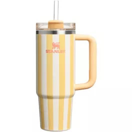 Stanley 30 oz. Quencher H2.0 FlowState Tumbler - Oasis Collection | DICK'S Sporting Goods